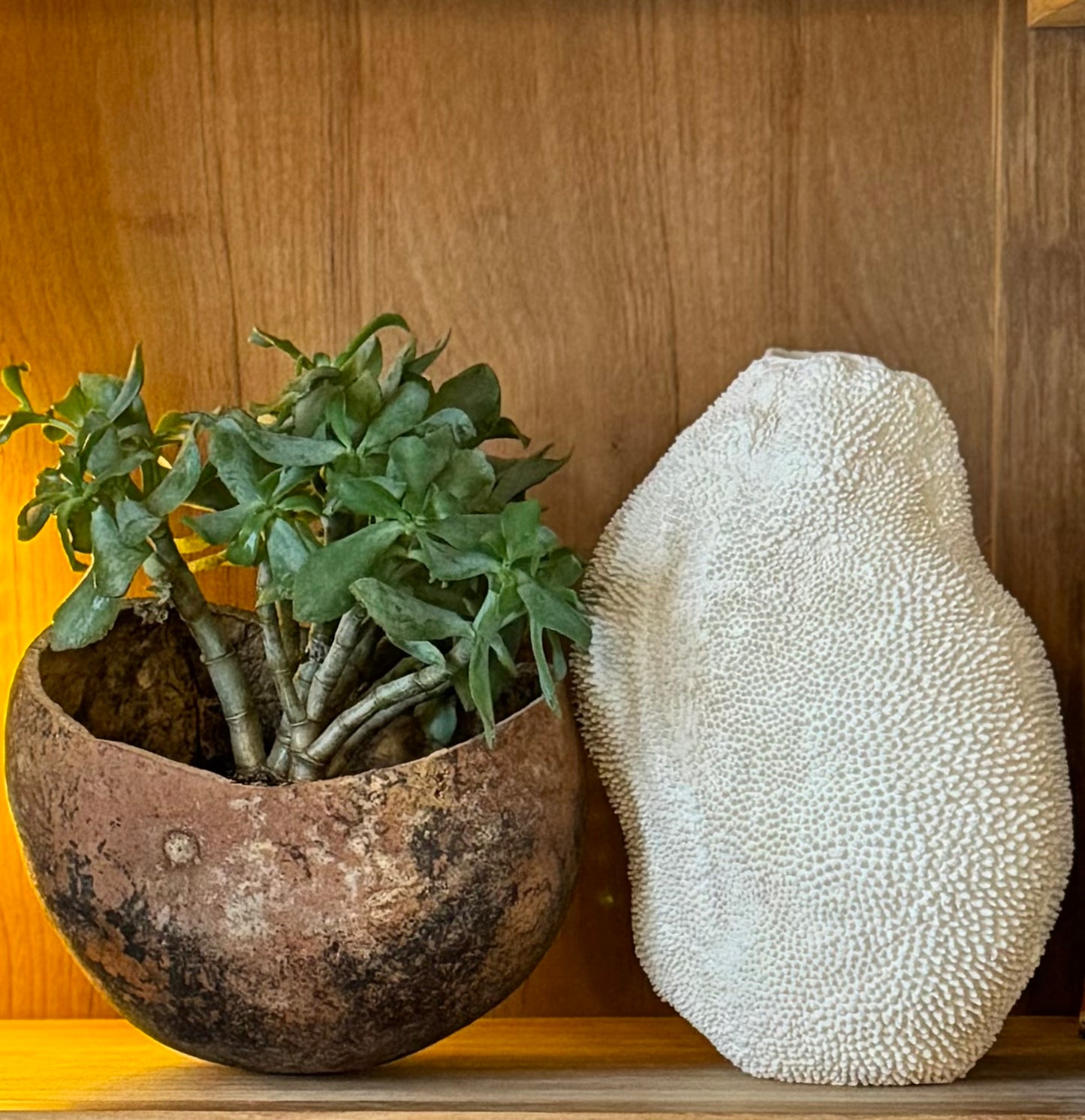 Vase Jaca No.12