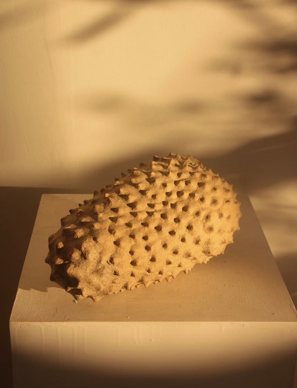 Sculpture Graviola