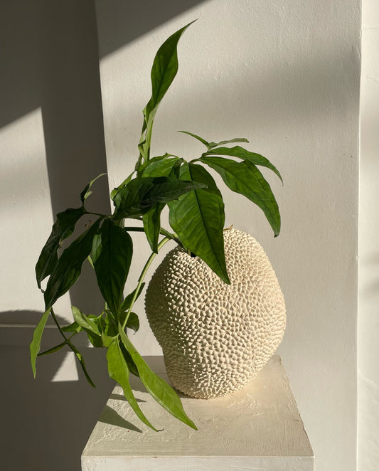 Vase Jaca No.11